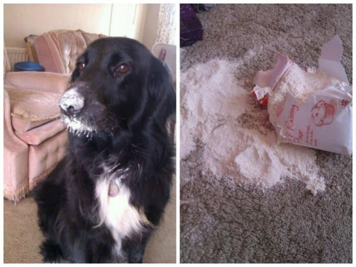 The suspect fled the scene of the crime, and you fit his description.