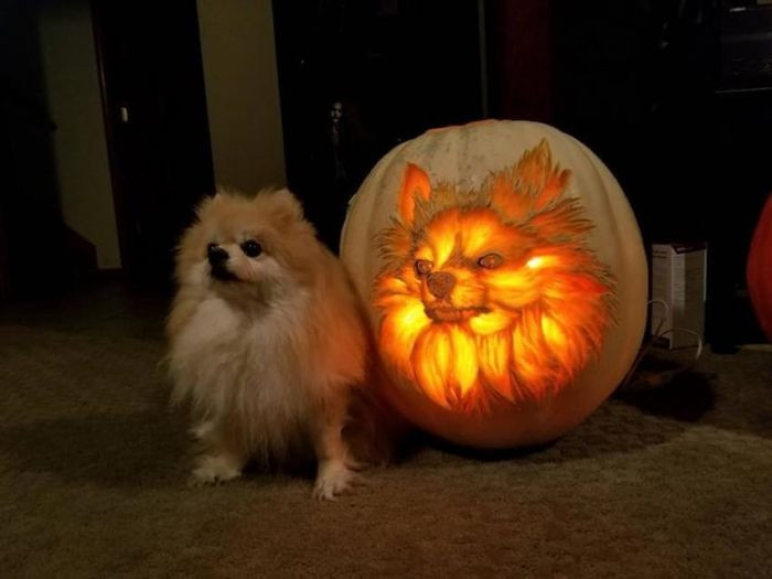 Sophie with Her Pumpkin