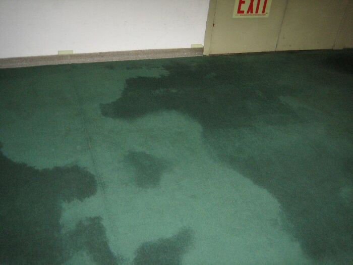 But there were some problems in the basement.