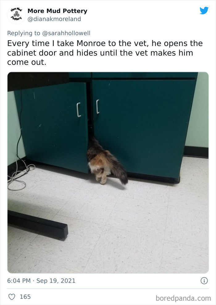 20. Ah vet problems, we’ve all been there.