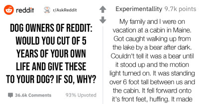 Dog-Loving Redditor Asks Whether Dog Owners Would Give 5 Years of Their Life to Their Dog, and One Reply Goes Viral