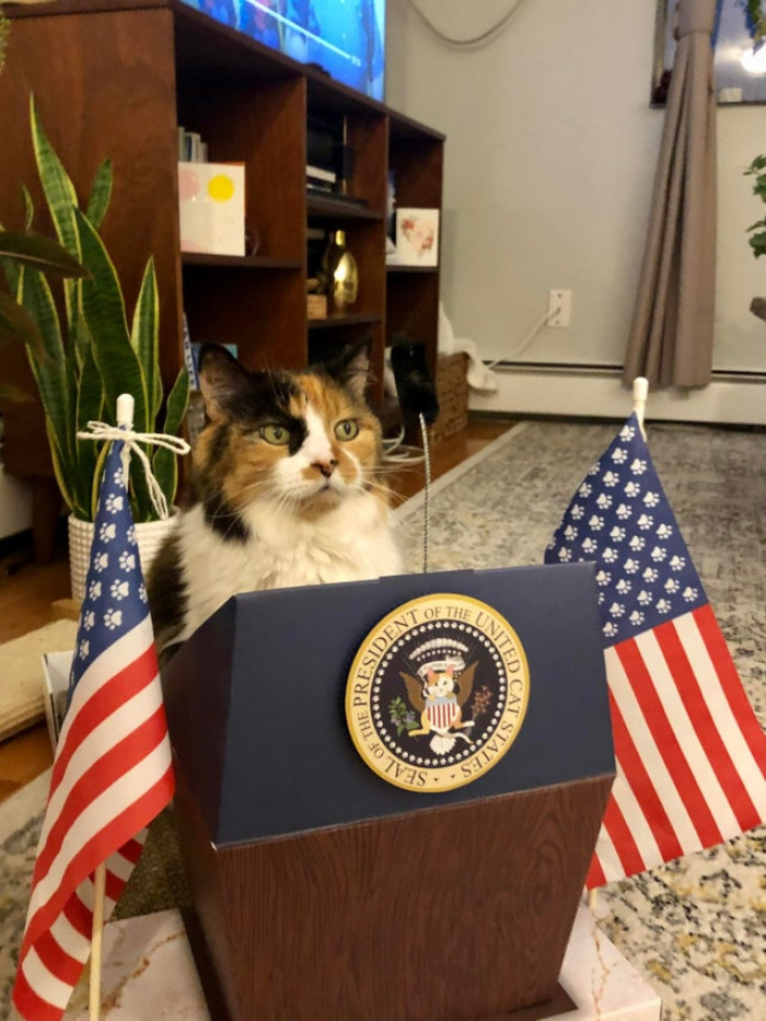 10. "Holly for President"