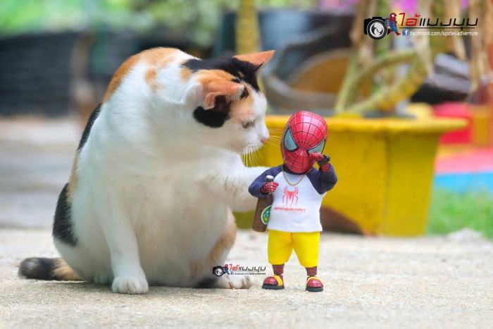 26. "It will be okay, pal."