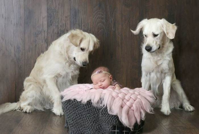 Toddler in a home hallway after escaping her room, looking surprised