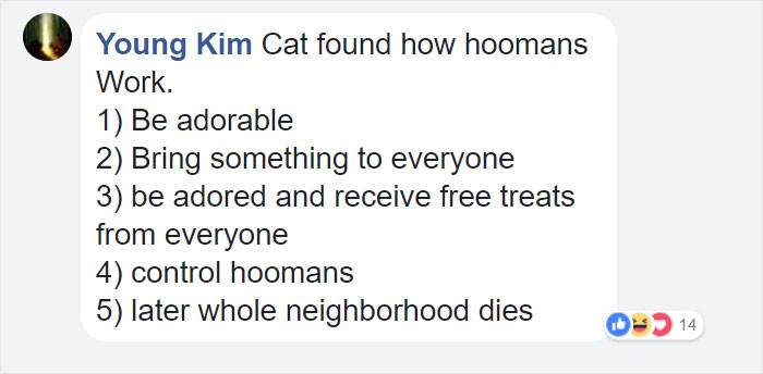 Close view of pink flower bouquet on a doorstep, captured on camera