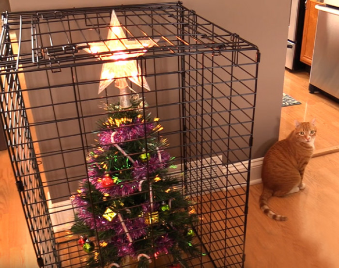 #8 How To Protect Christmas Tree From Your Cat? Use A Cage. For The Tree