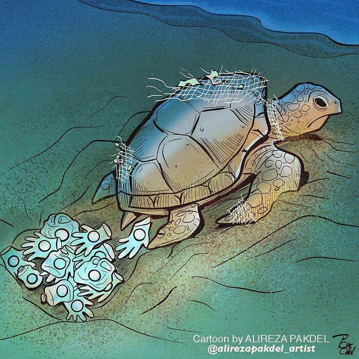 6. It's sad to see that these aquatic animals have to suffer because of us humans.