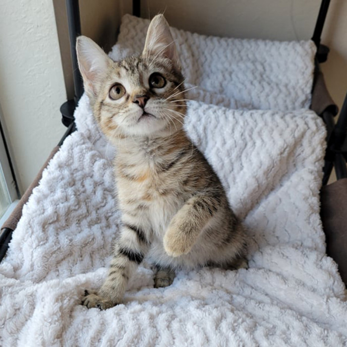 She loves to play with her toys and explore her surroundings.