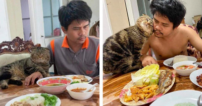 Lovable Cat Stole This Woman's Husband So She Documented Their Love