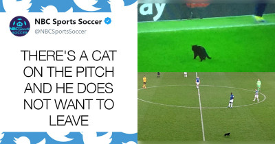 Cat Finds Its Way Into A Football Match And Refuses To Leave The Pitch