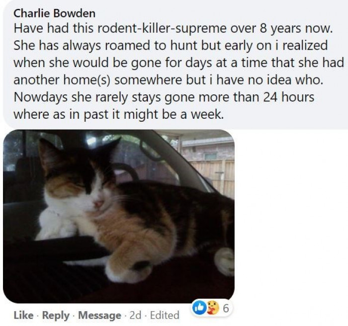 3. This cat has two houses, and therefore she rules two different realms. What a queen.