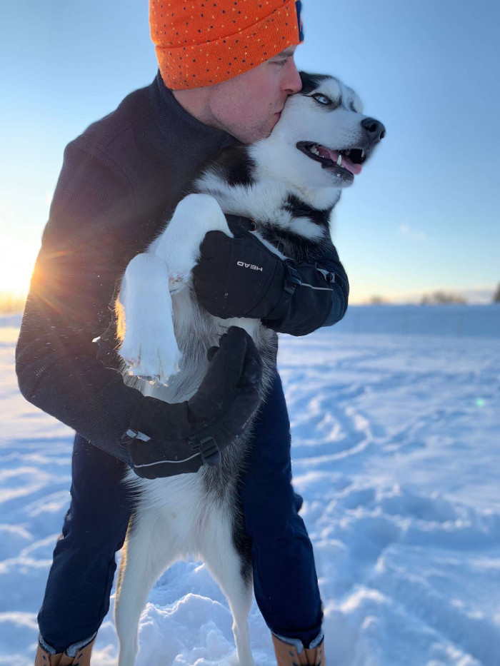 Adorable Husky Sat On A Pile Of Snow To Stop His Grandpa From Removing ...