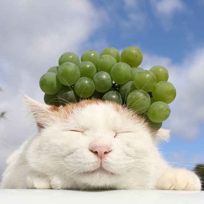 9. With grapes.