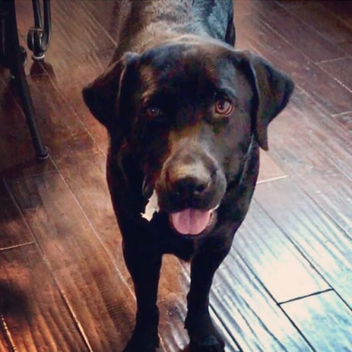 "I am innocent until proven guilty."