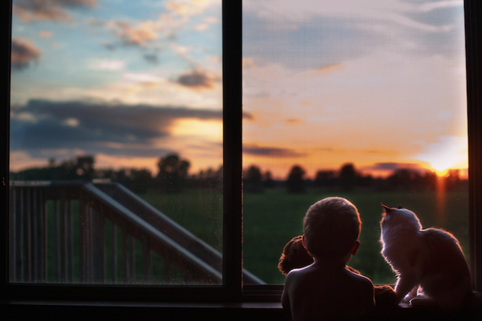 No matter whether the kids are playing or reading books, the cats are always there to keep them company.