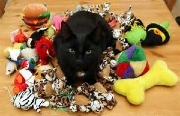 4. The Toy Conundrum