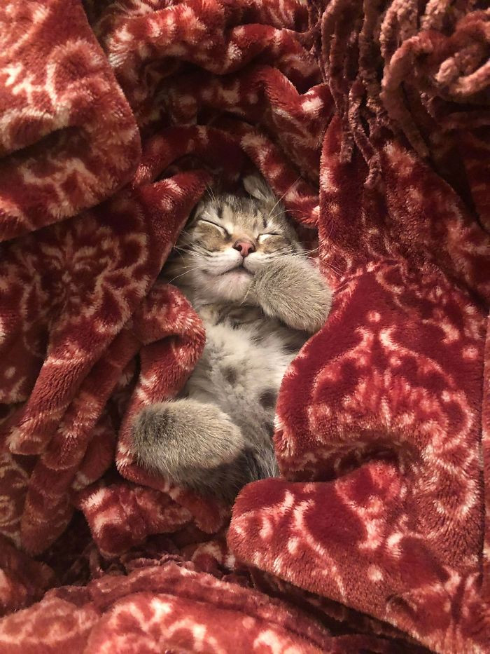 20. "My Friend Adopted This Sweet Baby And I Think You All Needed To See It"