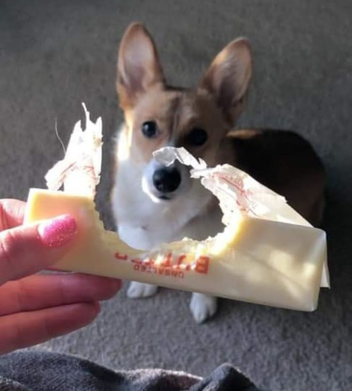 17. He legitimately took a bite out of a stick of butter. Impressive.