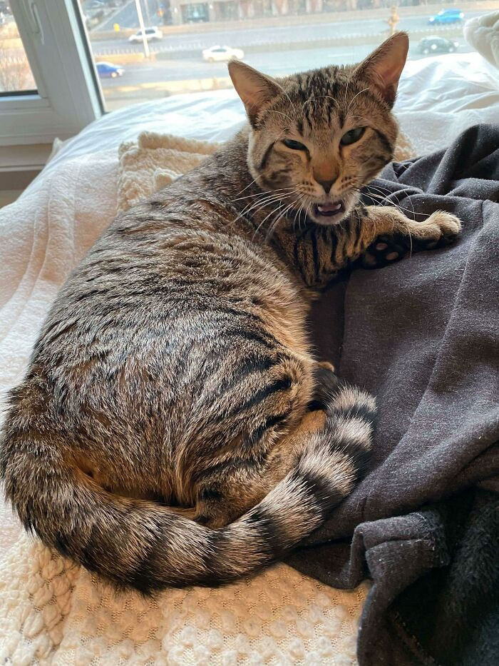 14. Steve Yelling At Me For Waking Him Up In The Middle Of His Nap
