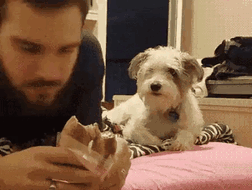 1. He doesn't want to come off as needy