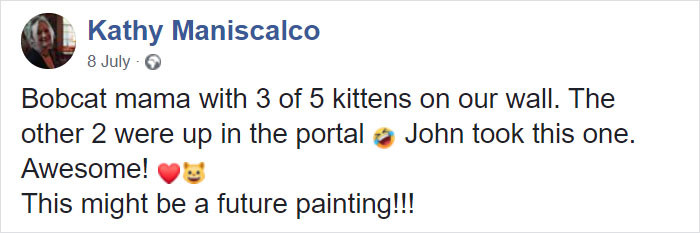 Artist Kathy Maniscalco posted this update about the bobcats on Facebook...