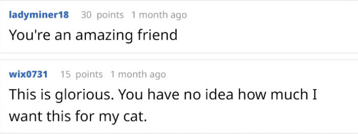 Screenshot-style meme referencing cat photography, excited internet response to the babysitter claim