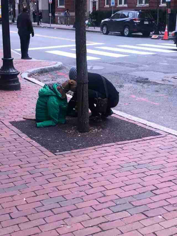 The dog sat perfectly still as his owner wrapped the jacket around him. He seemed excited to wear something nice and cozy.