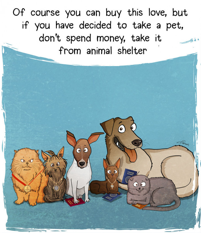 In retrospect, it begs only one question: