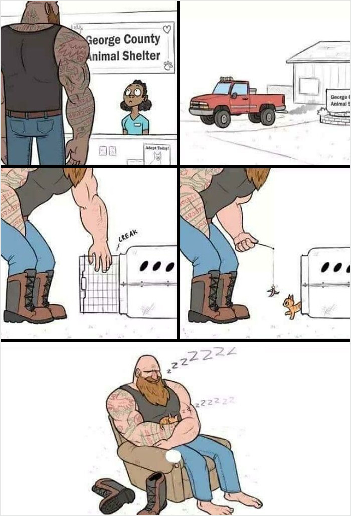 Big guys need kitty love too.