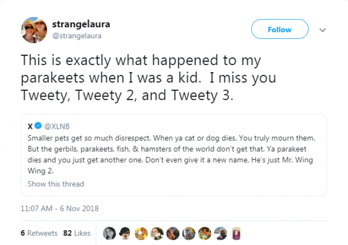 Missing all the Tweeties