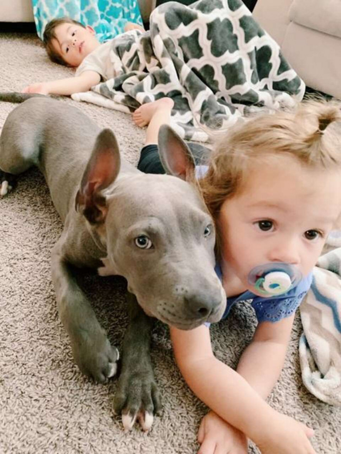 Lucy hanging out with her family