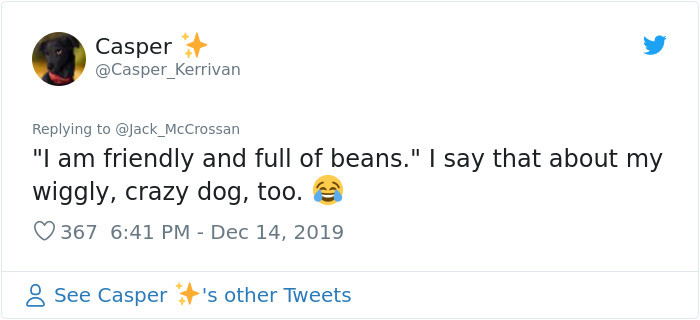 Apparently, all doggos are full of beans