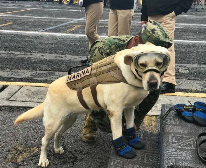 Ready to save lives!