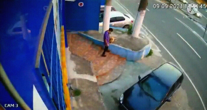 This is Amiga and the vet's first meeting.