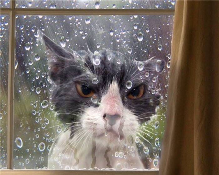 29. "Do you see the expression on my face? I am not impressed."