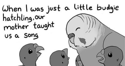 Illustrator Who Made Us Cry With Her Comics That Speak About Animal Abuse Just Published Another Tearjerker, And It's Even Sadder Than The Last One