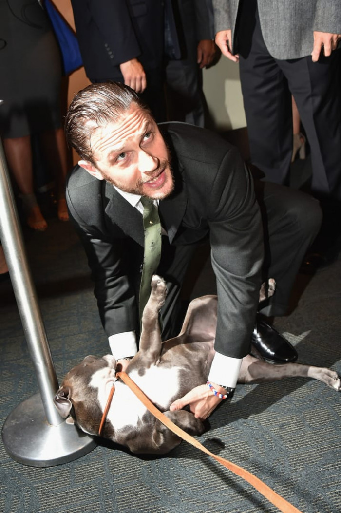 1. Tom Hardy giving this good boy a belly rub mid-premiere