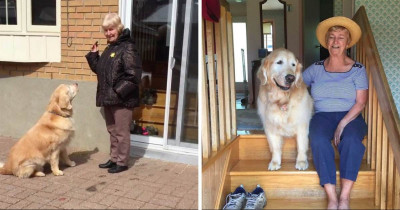 Senior Dog Insists on Visiting His Elderly Friend Every Single Day