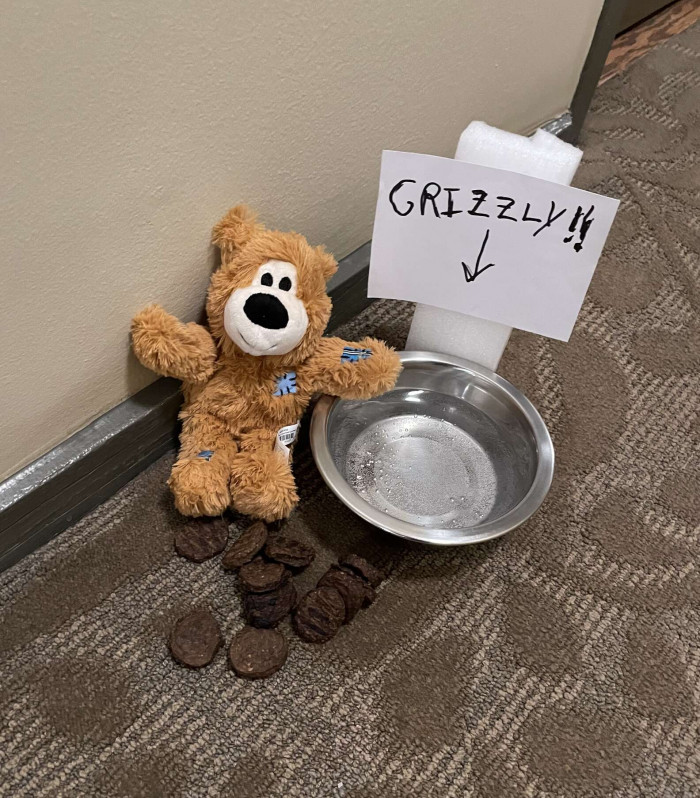 Gifts left out in the hallway for Grizzly