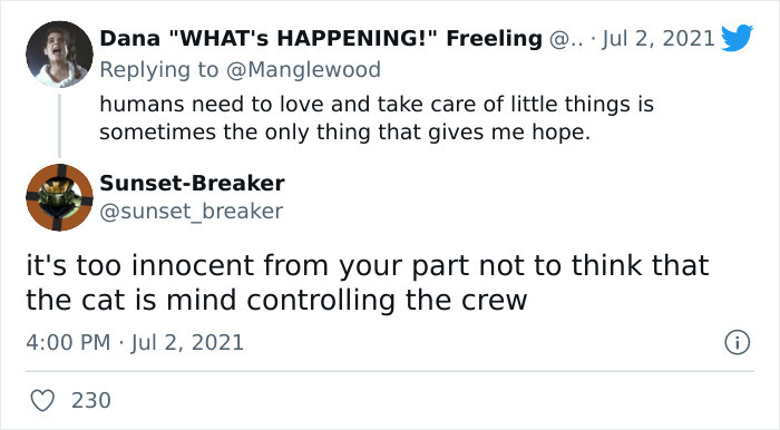 Some were pondering how the cats were certainly mind-controlling the ship's crew.