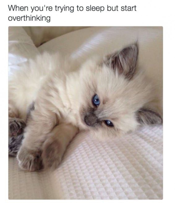 8. Mental fictional scenarios are the best