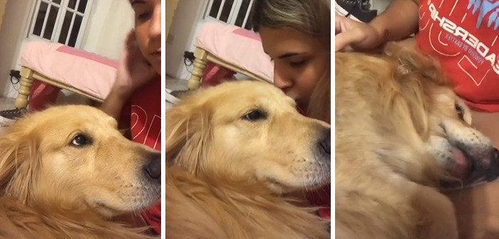 Awww