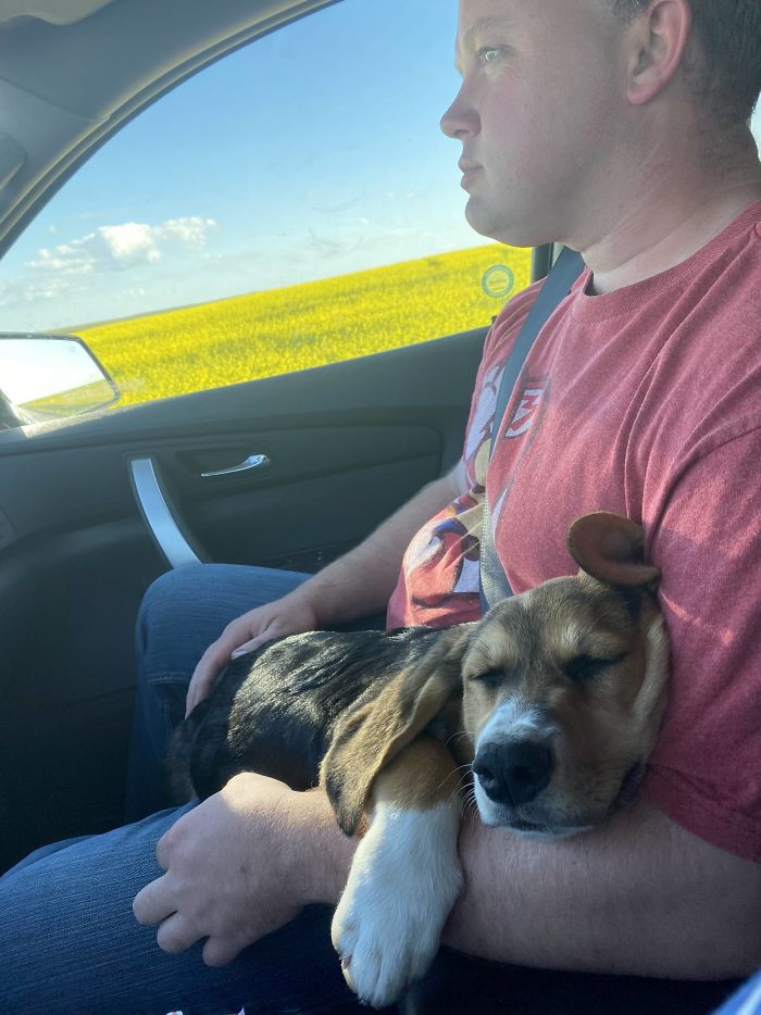 “If You Get A New Puppy, I Won’t Want Anything To Do With It. I Won’t Let It Out. I Won’t Touch It. I Won’t Feed It. You’re Fully Responsible. I Want Nothing To Do It With. Deal?”