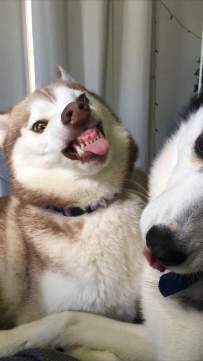 "What did you just say to me!?"