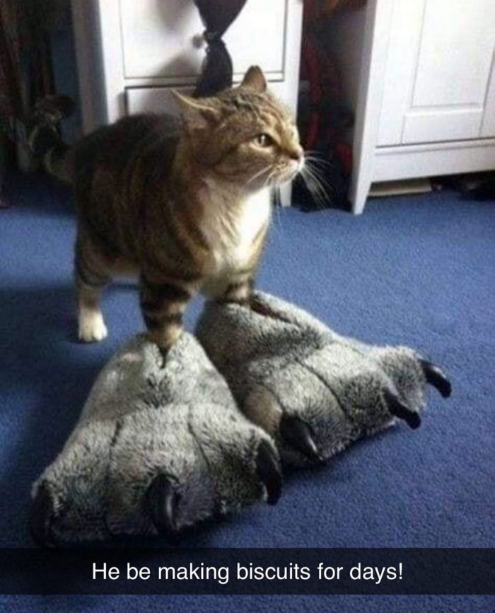 Now that's what I call murder mittens.