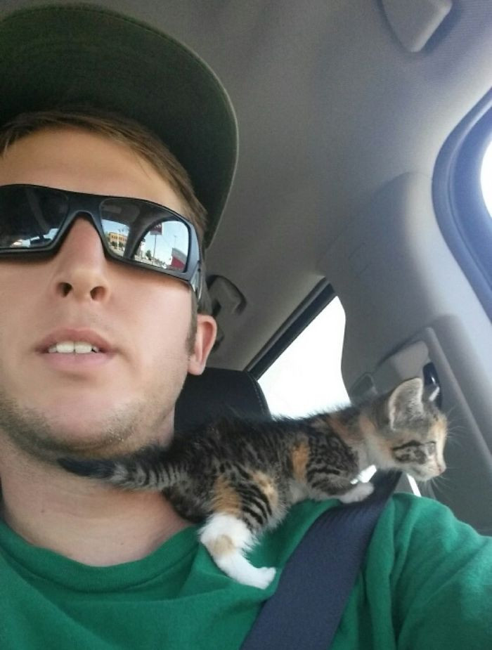 “She instantly fell asleep in the truck. I didn’t have the heart to wake her up when I got home.”