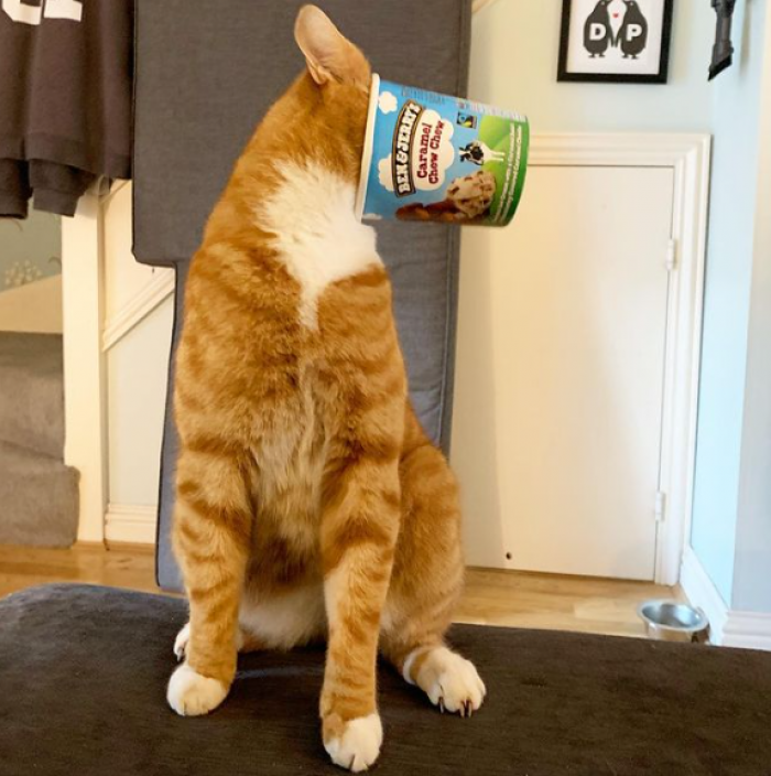 20. The ice cream must be delicious.