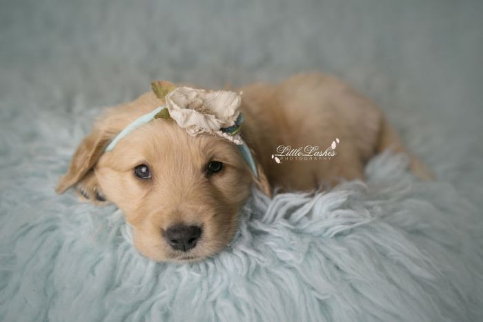 Look who finally woke up