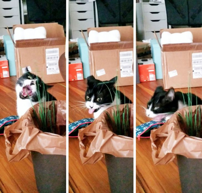 19. The stages of regret captured on film