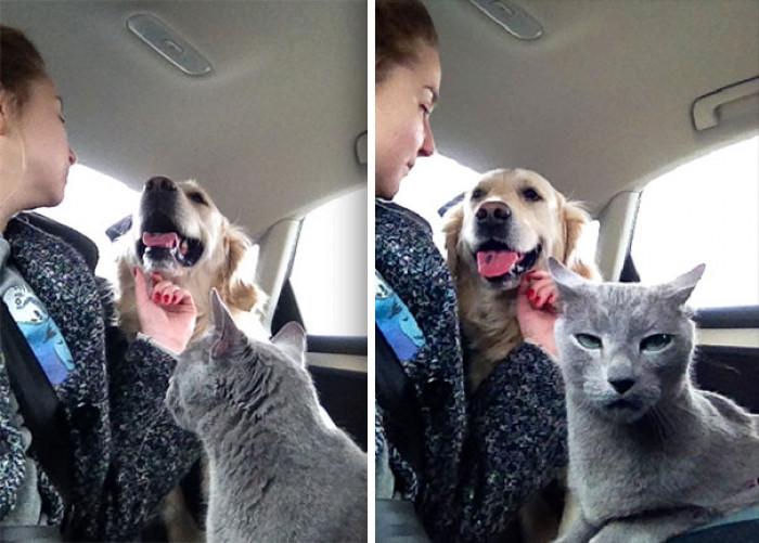 20. "Ew, the dog."
